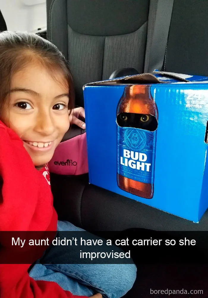 159 Hilarious Cat Snapchats That Will Leave You With The Biggest Smile (New Pics)