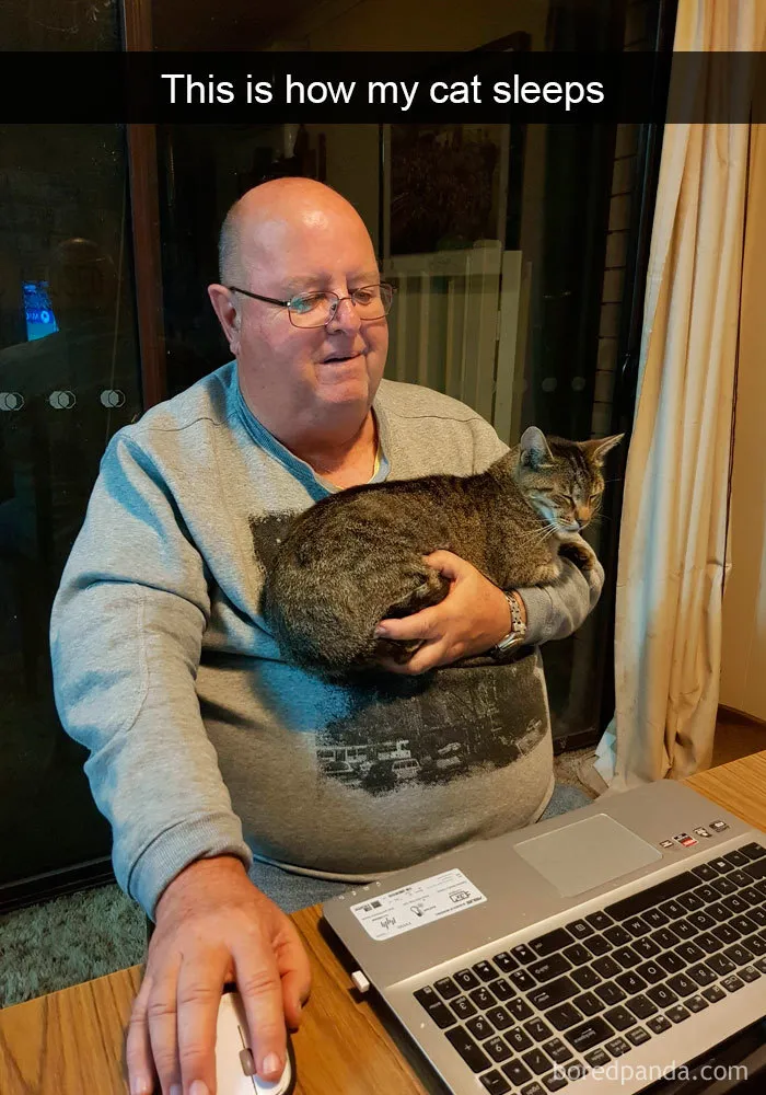 159 Hilarious Cat Snapchats That Will Leave You With The Biggest Smile (New Pics)