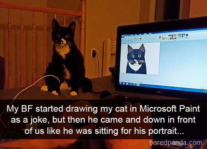 159 Hilarious Cat Snapchats That Will Leave You With The Biggest Smile (New Pics)