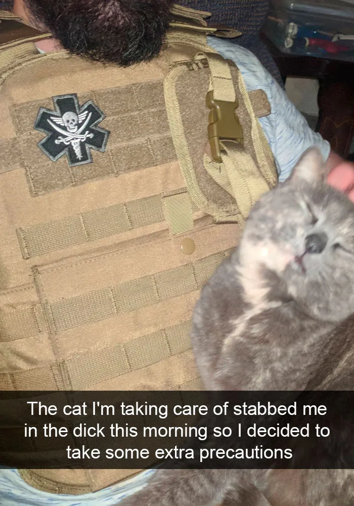 159 Hilarious Cat Snapchats That Will Leave You With The Biggest Smile (New Pics)