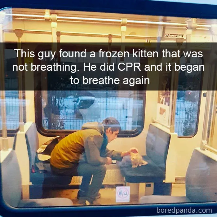 159 Hilarious Cat Snapchats That Will Leave You With The Biggest Smile (New Pics)