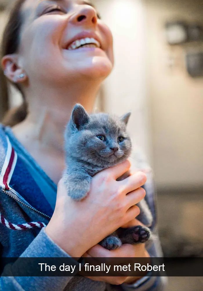 159 Hilarious Cat Snapchats That Will Leave You With The Biggest Smile (New Pics)