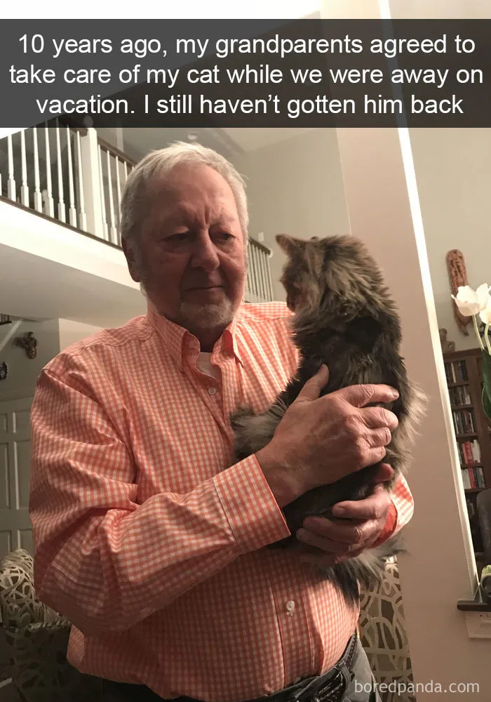 159 Hilarious Cat Snapchats That Will Leave You With The Biggest Smile (New Pics)