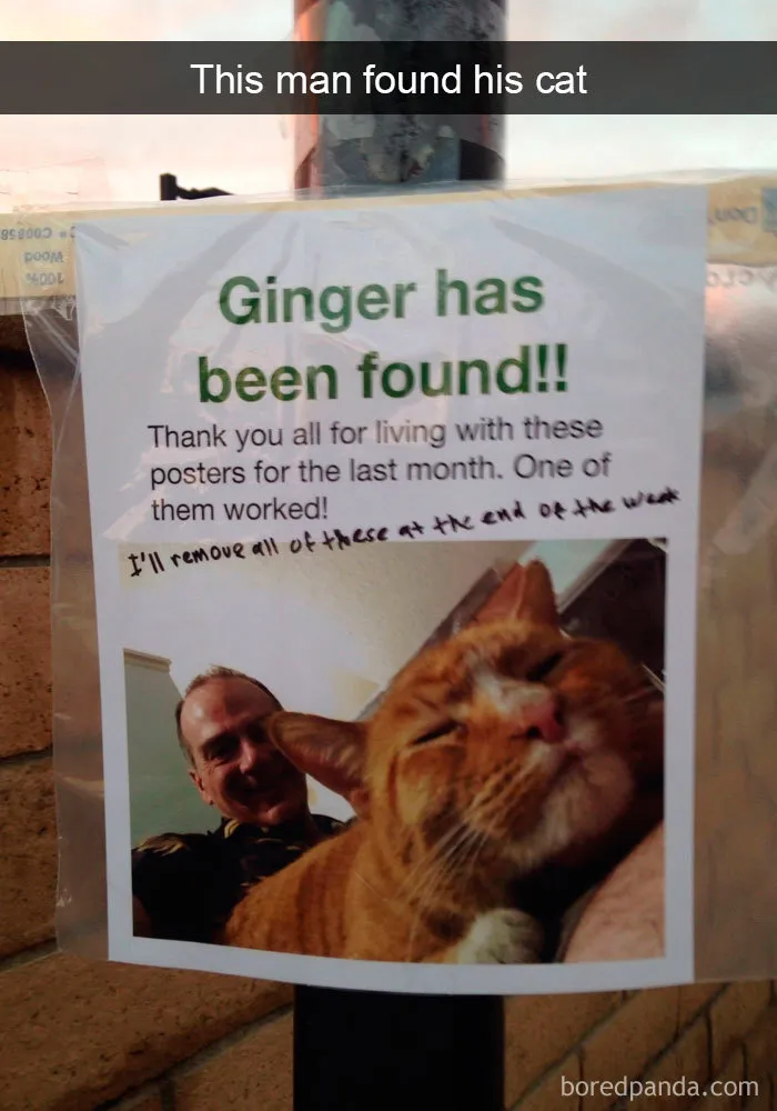 159 Hilarious Cat Snapchats That Will Leave You With The Biggest Smile (New Pics)