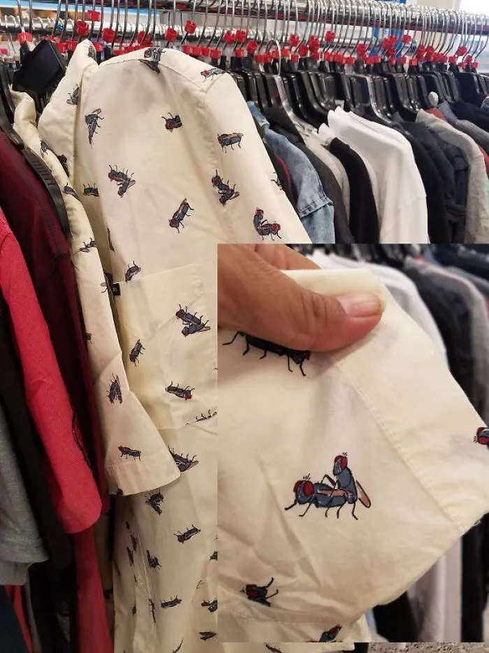 What Are These Flies Doing?