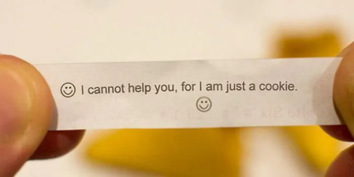 Don't Expect Much From A Cookie