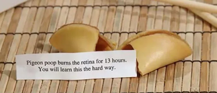 Sassy fortune cookie with an unexpected and humorous message on a bamboo mat.