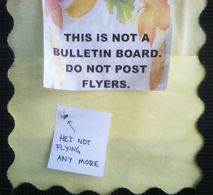 I Feel Bad For The Fly