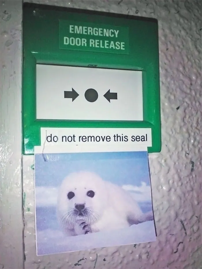 Emergency Exit