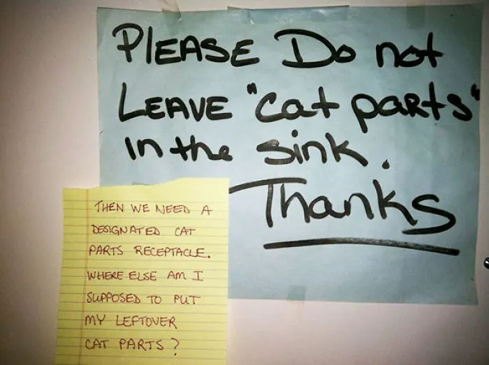 No "Cat Parts" In The Sink