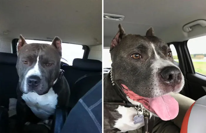 El día de su adopción y 5 años después