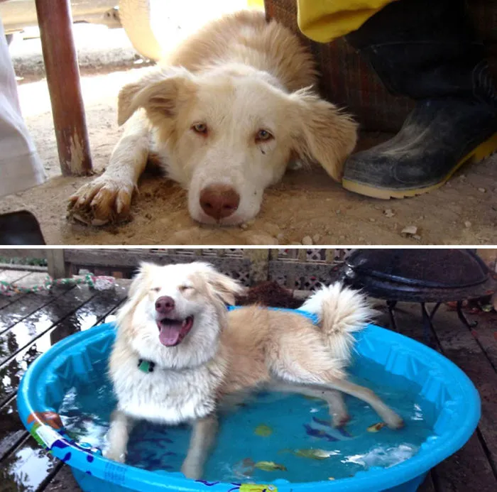 Ripley con 6 meses en Irán, y con 1 año en su hogar en EEUU