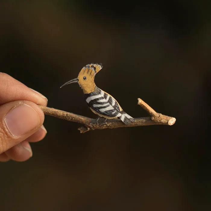 Hoopoe