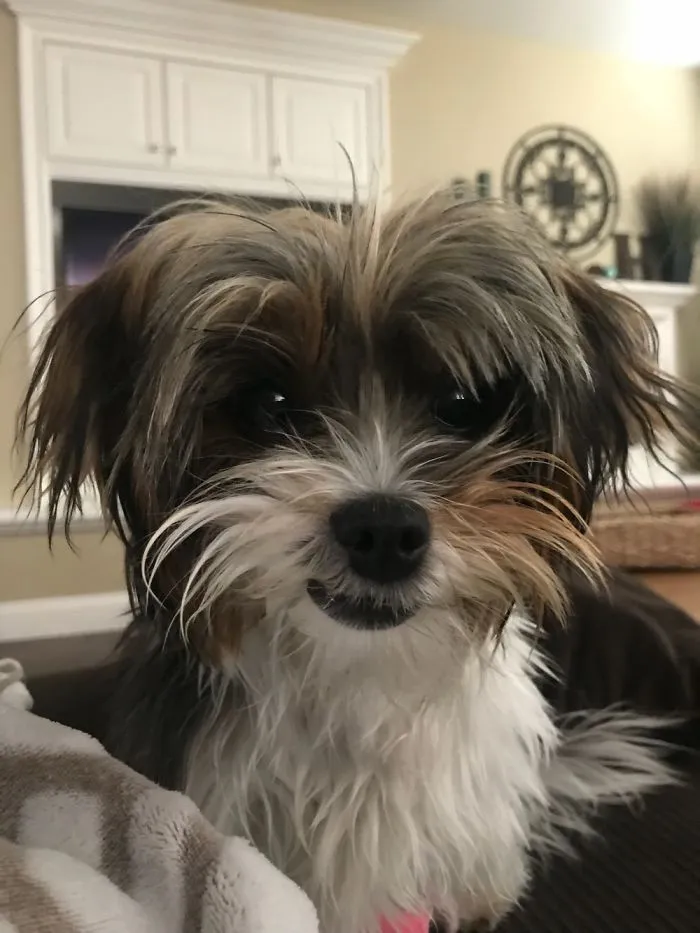 I Call This “The Smirk”