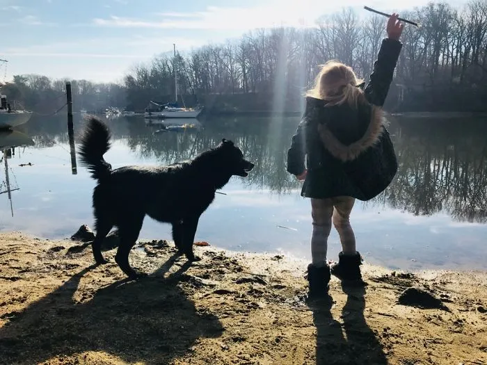 Our Rescue And Our 4yo Exploring The World Together