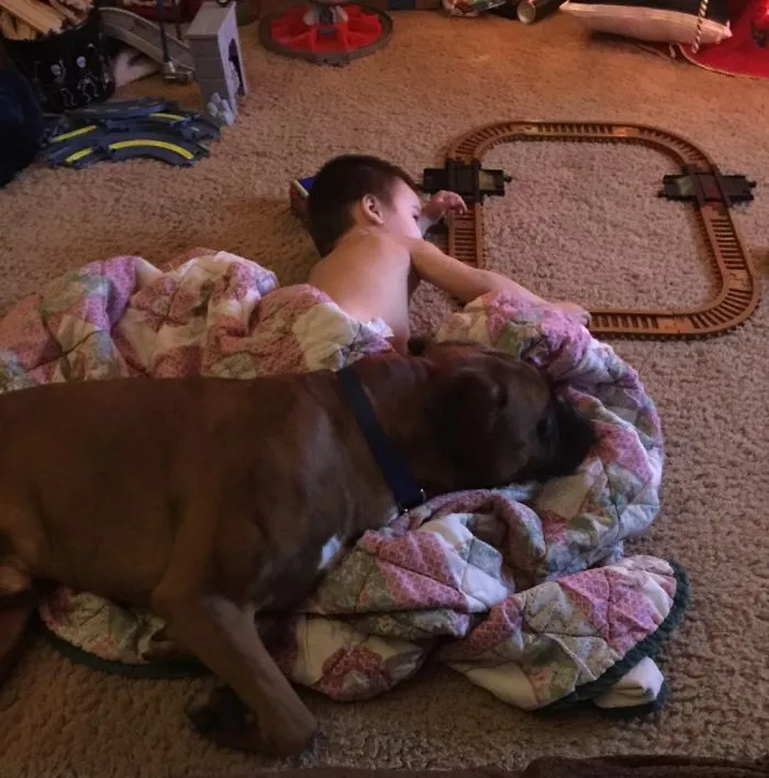 I Love My Hooman!!!