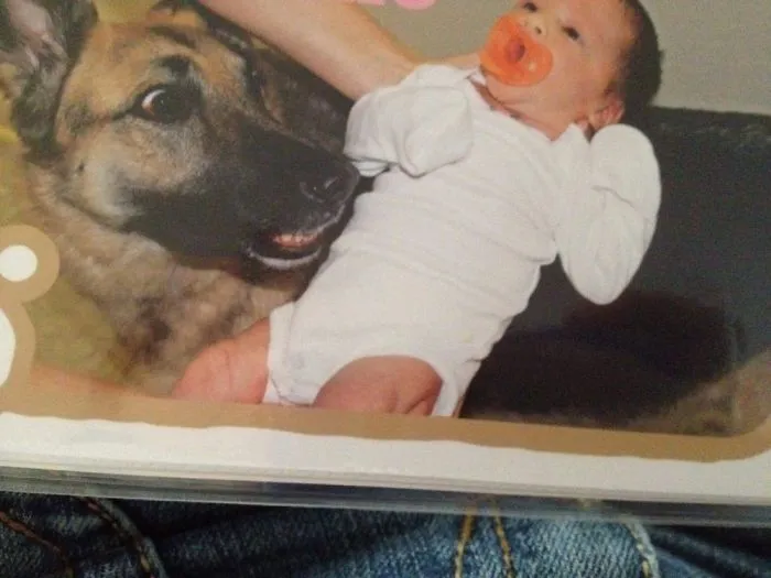 The Day Our German Shepherd Maya Met Our Newborn Daughter 6 Years Ago. Her Face Is Priceless.