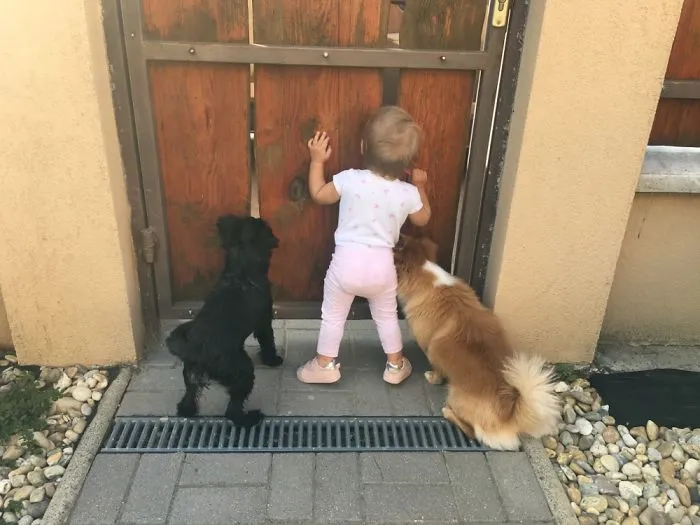 Who’s There?
