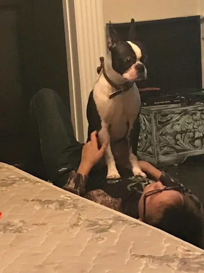 My Son And His Best Friend