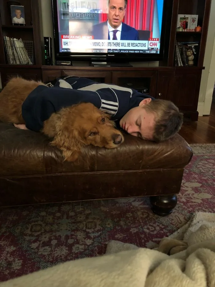 My Son Home From School, Sick.  Scout Comforting Him.