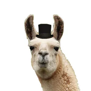 ComradeLlama
