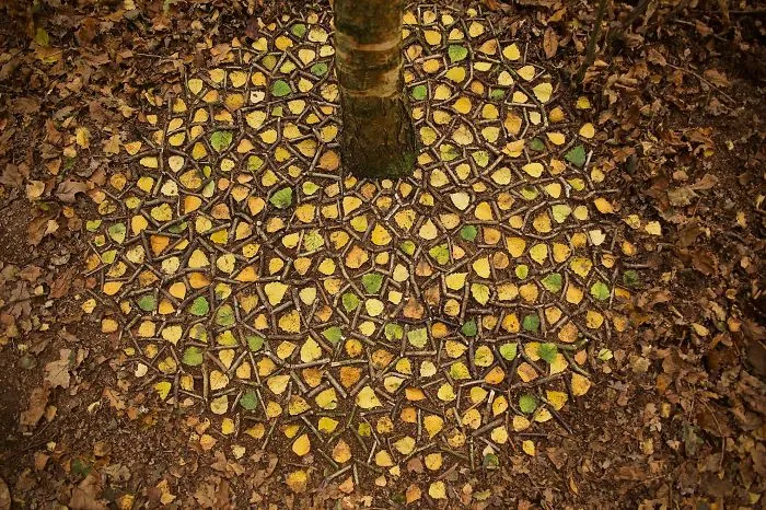 Este artista pasa horas colocando objetos naturales para crear increíbles mandalas y que tú los encuentres