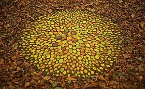 Artist Spends Hours Arranging Natural Objects Into Stunning Mandalas, Leaves Them For You To Find