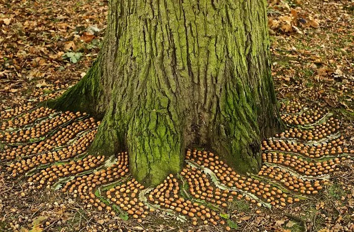 Este artista pasa horas colocando objetos naturales para crear increíbles mandalas y que tú los encuentres