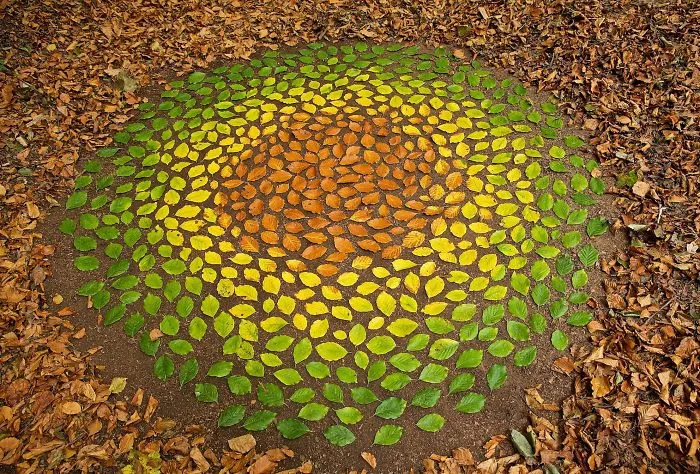 Este artista pasa horas colocando objetos naturales para crear increíbles mandalas y que tú los encuentres