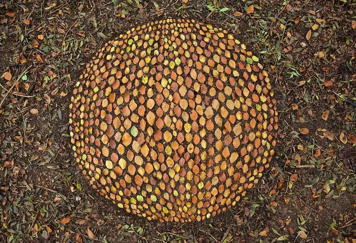Este artista pasa horas colocando objetos naturales para crear increíbles mandalas y que tú los encuentres