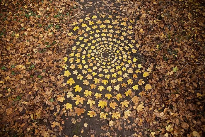 Este artista pasa horas colocando objetos naturales para crear increíbles mandalas y que tú los encuentres