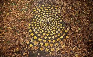 Artist Spends Hours Arranging Natural Objects Into Stunning Mandalas, Leaves Them For You To Find