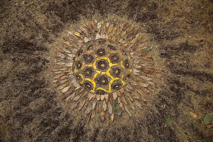 Este artista pasa horas colocando objetos naturales para crear increíbles mandalas y que tú los encuentres