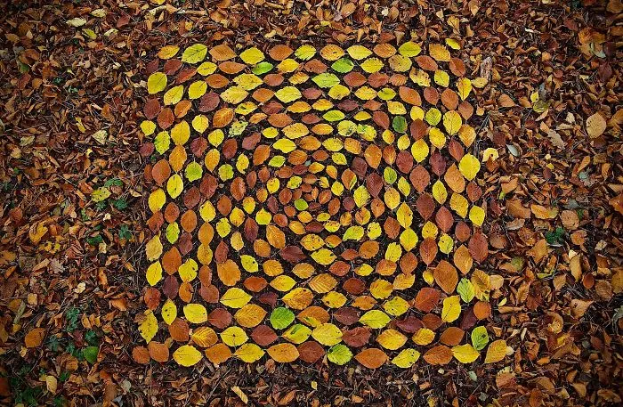 Este artista pasa horas colocando objetos naturales para crear increíbles mandalas y que tú los encuentres