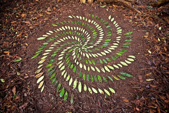 Este artista pasa horas colocando objetos naturales para crear increíbles mandalas y que tú los encuentres