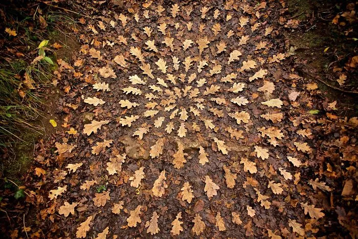 Este artista pasa horas colocando objetos naturales para crear increíbles mandalas y que tú los encuentres