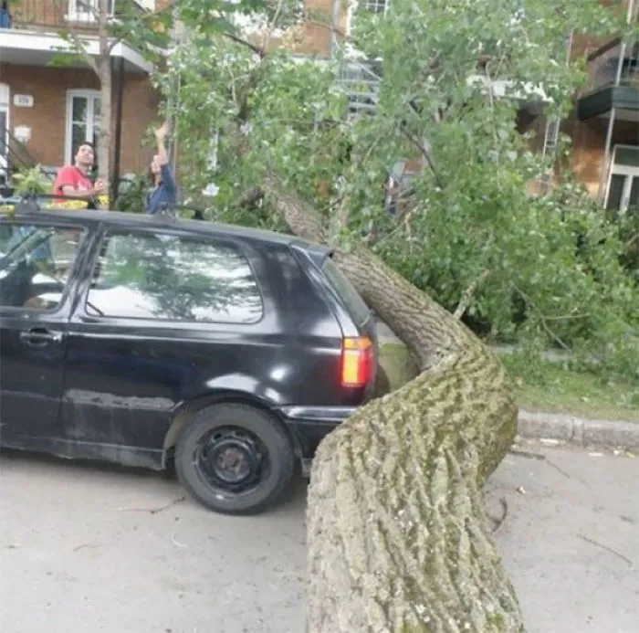El dueño de este coche tuvo suerte