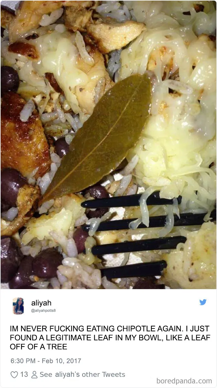 People-Find-Leaves-Food