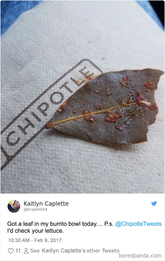 People-Find-Leaves-Food