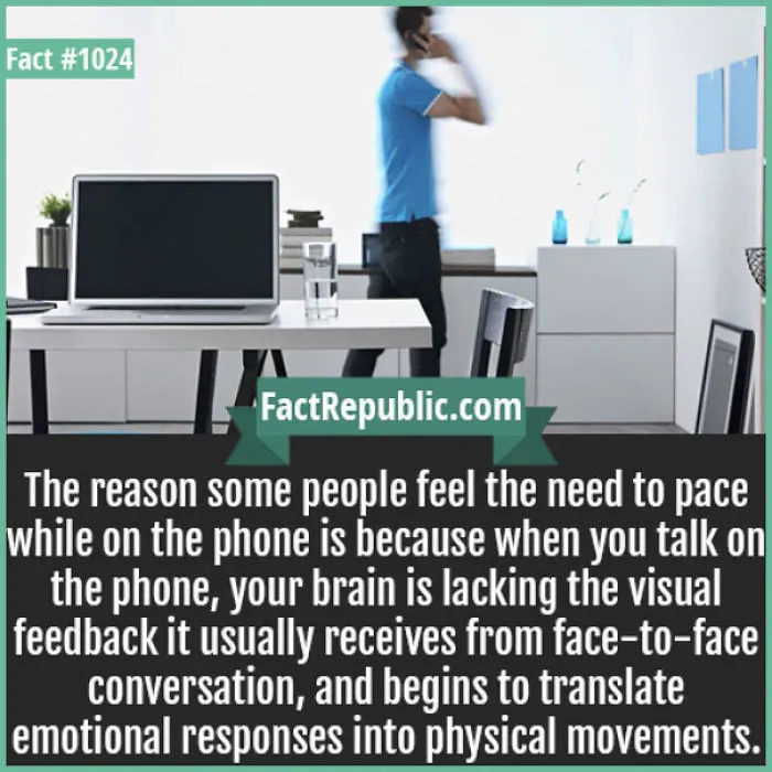 254 Incredible Facts That You Probably Didn't Know