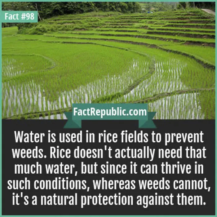 254 Incredible Facts That You Probably Didn't Know