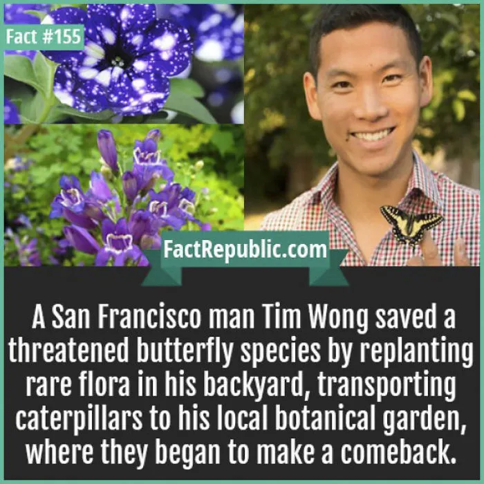 254 Incredible Facts That You Probably Didn't Know