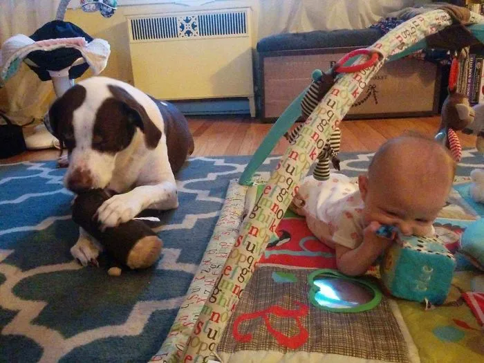 Por algo dicen que tener perro te prepara para tener hijos