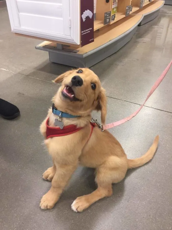 El primer paseo de Ralph