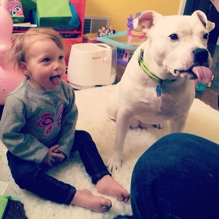 Hija y perro pidiendo comida... ambos con la lengua fuera