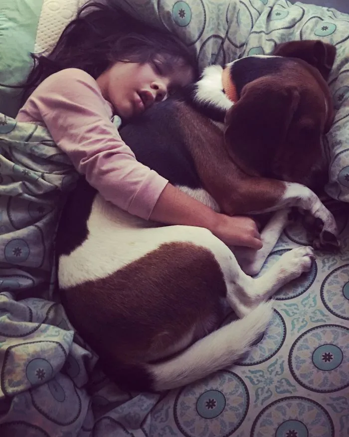 Siesta