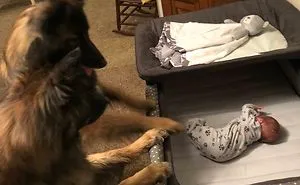  If You Don't Think Your Kids Need A Dog After Seeing These Pics, You Must Be A Cat