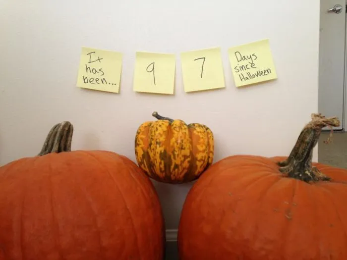 Han pasado 97 días desde Halloween