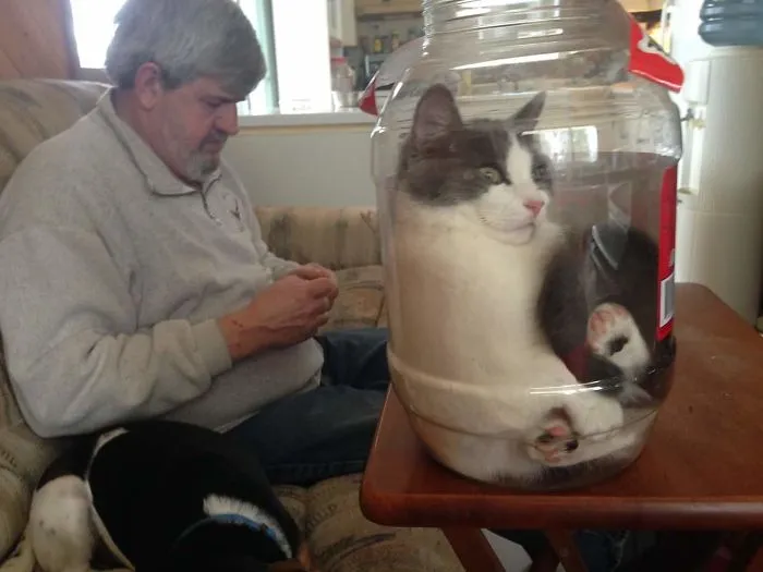 Angie Loves Her Jar