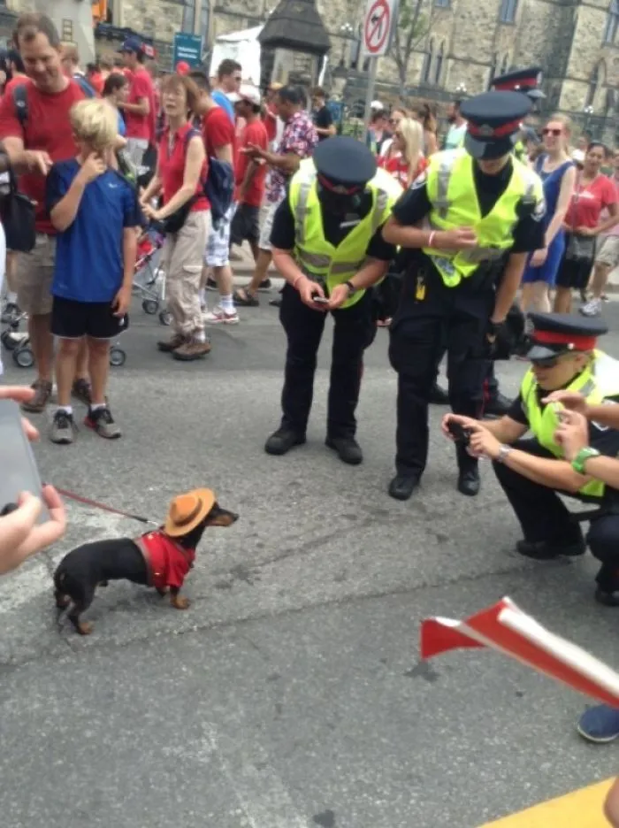 Policía canadiense trabajando